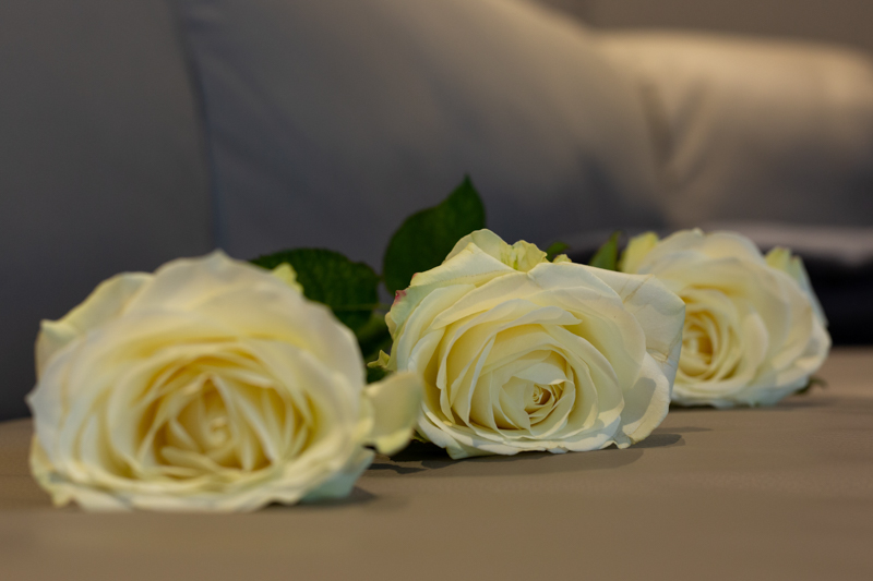 Mikulla Bestattungen: Weiße Rosen als Symbol für Abschied